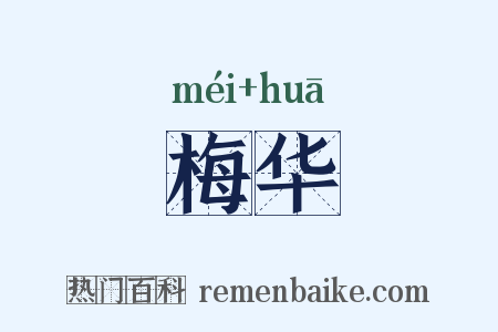 梅华是什么意思的图片